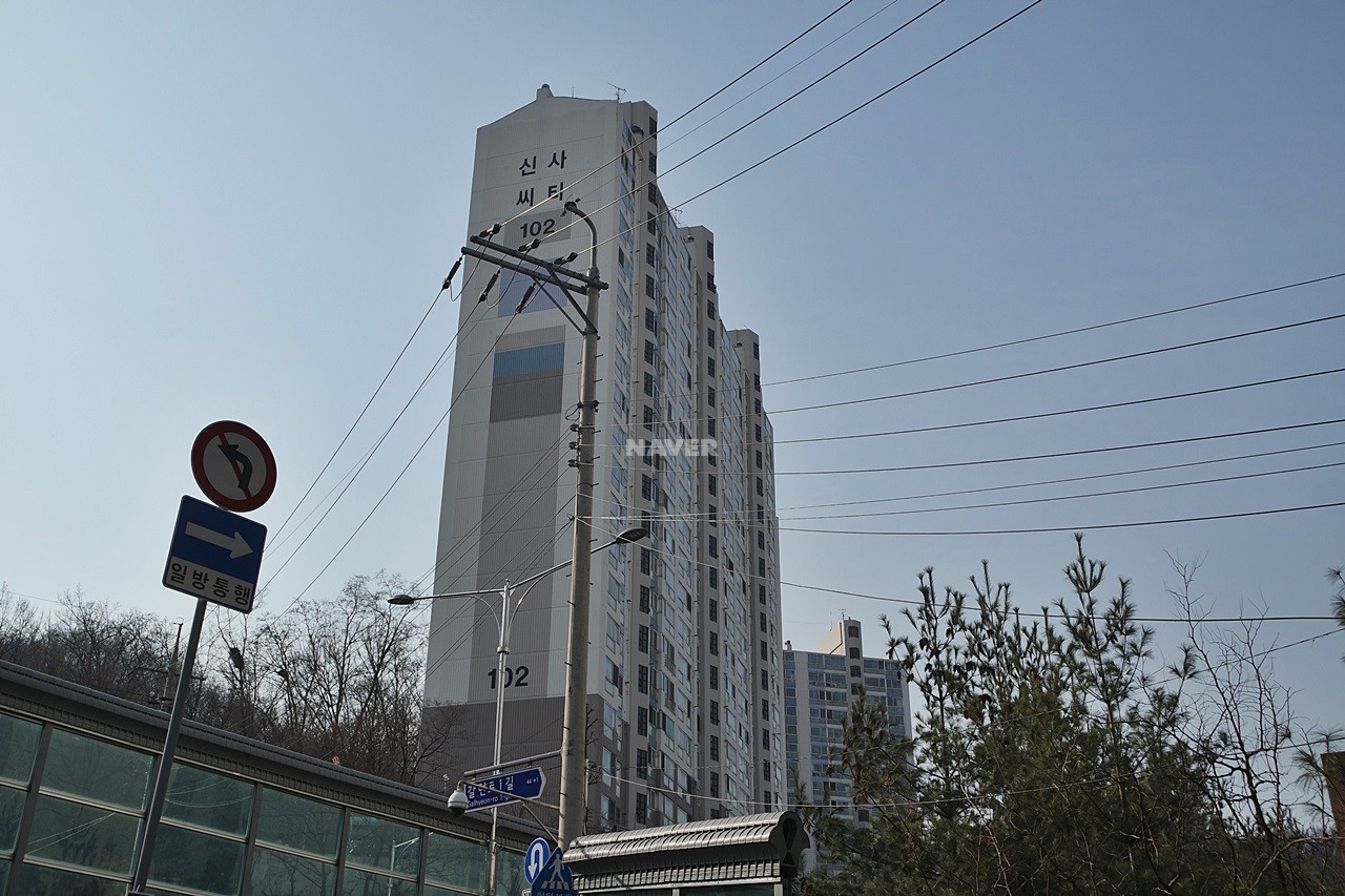 씨티