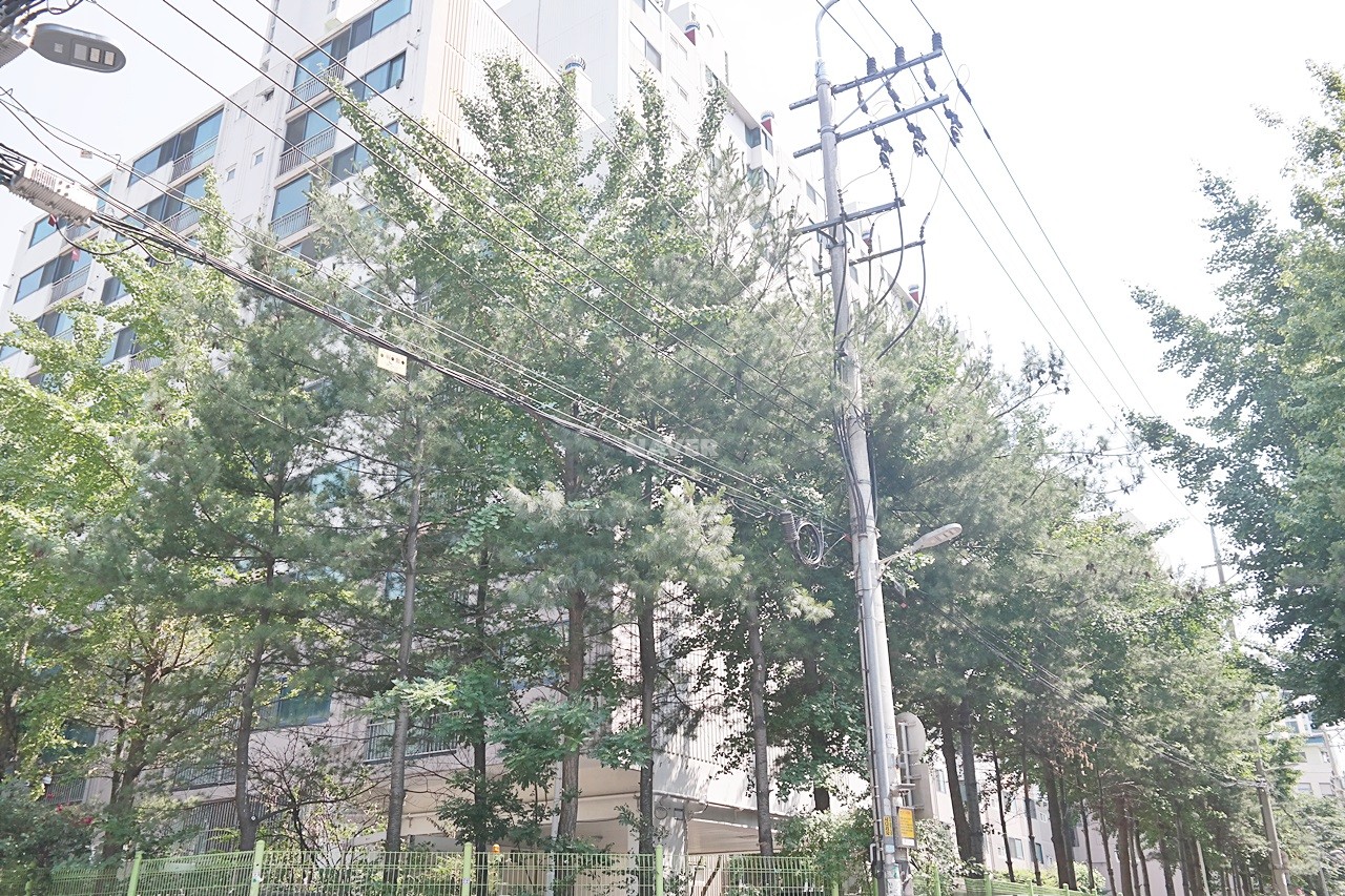 Building entrance with signage