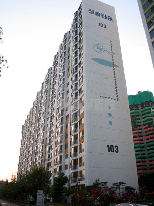 대구시 달성군 화원읍 삼우청솔타운 아파트 