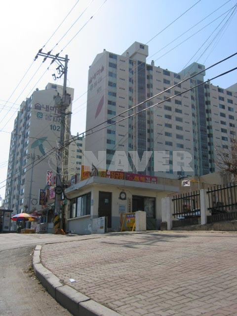 전라북도 전주시 덕진구 송천동2가 솔내마을동아 아파트 