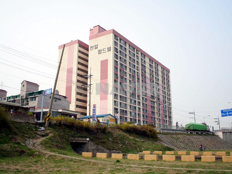 대전시 서구 변동 천일월드빌 아파트 