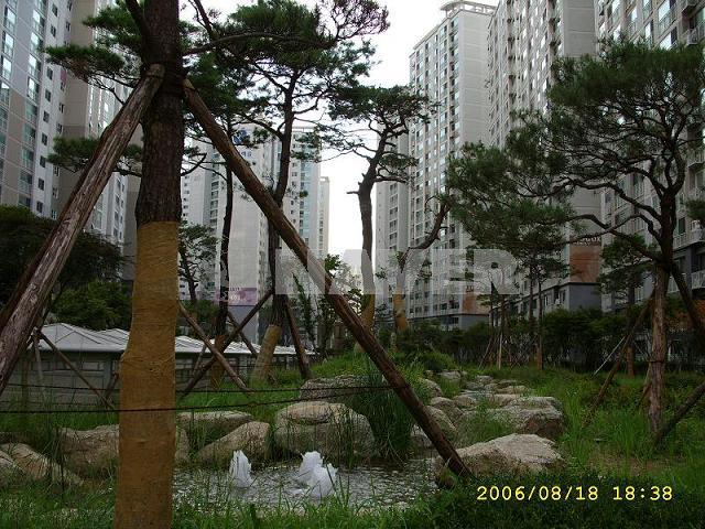 서울시 강남구 도곡동 도곡렉슬 아파트 