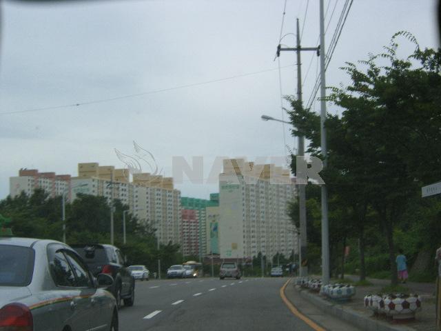 파인힐
