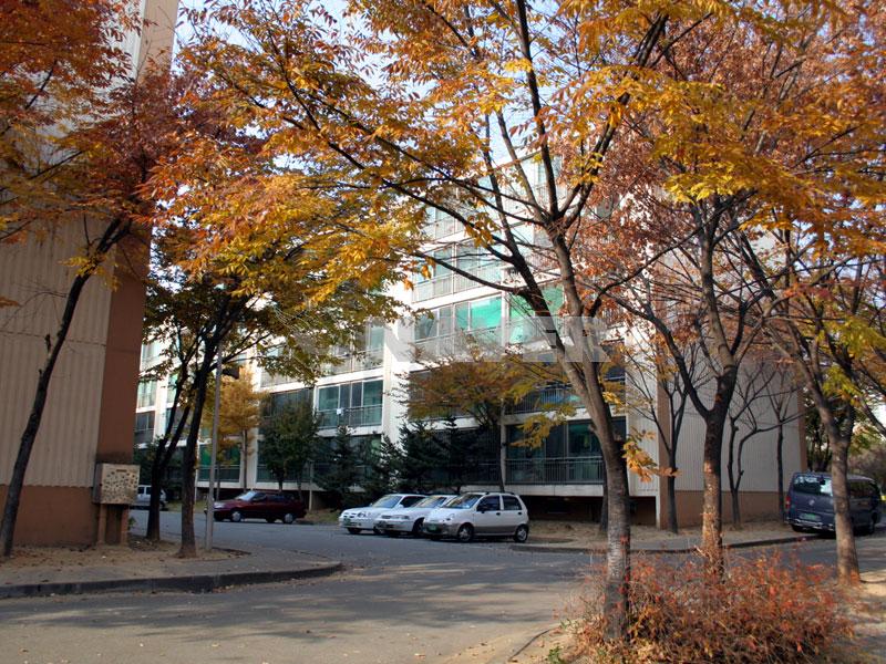 인천시 연수구 청학동 용담마을 아파트 