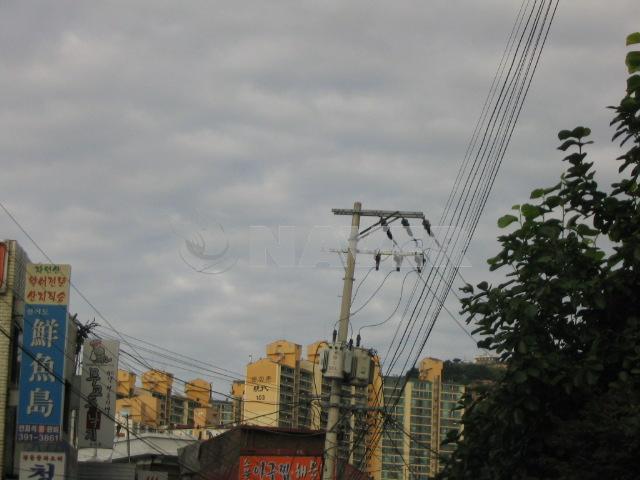 문화촌
