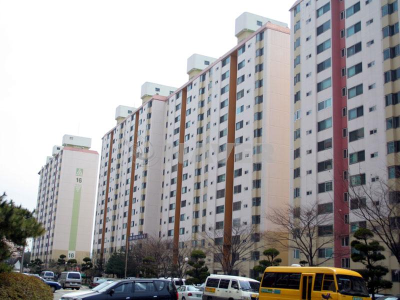 대전시 서구 둔산동 수정타운 아파트 