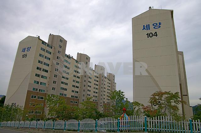 청마루