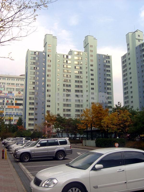 경기도 수원시 장안구 정자동 백설마을5단지성지,동양고속 아파트 