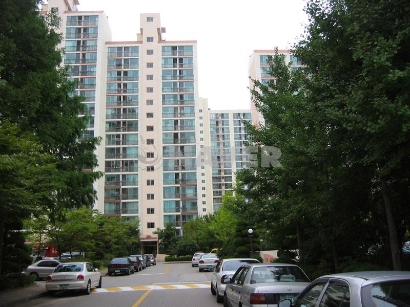 경기도 성남시 분당구 정자동 정든우성6단지 아파트 