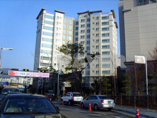 플로라