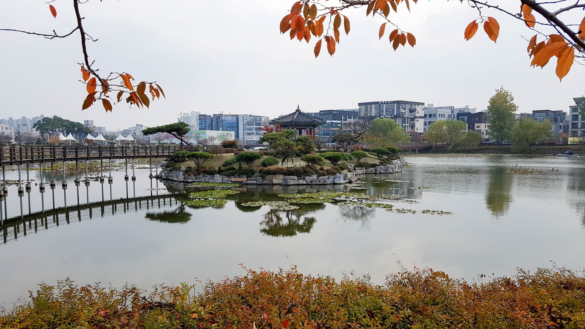 충청남도 서산시 성연면 서산금호어울림에듀퍼스트 아파트 