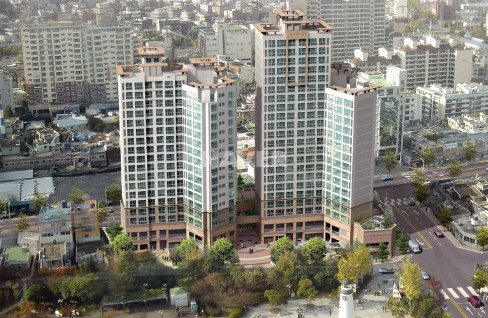 포레스트