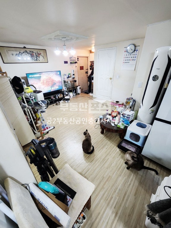 売買 3億 5,000万ウォン